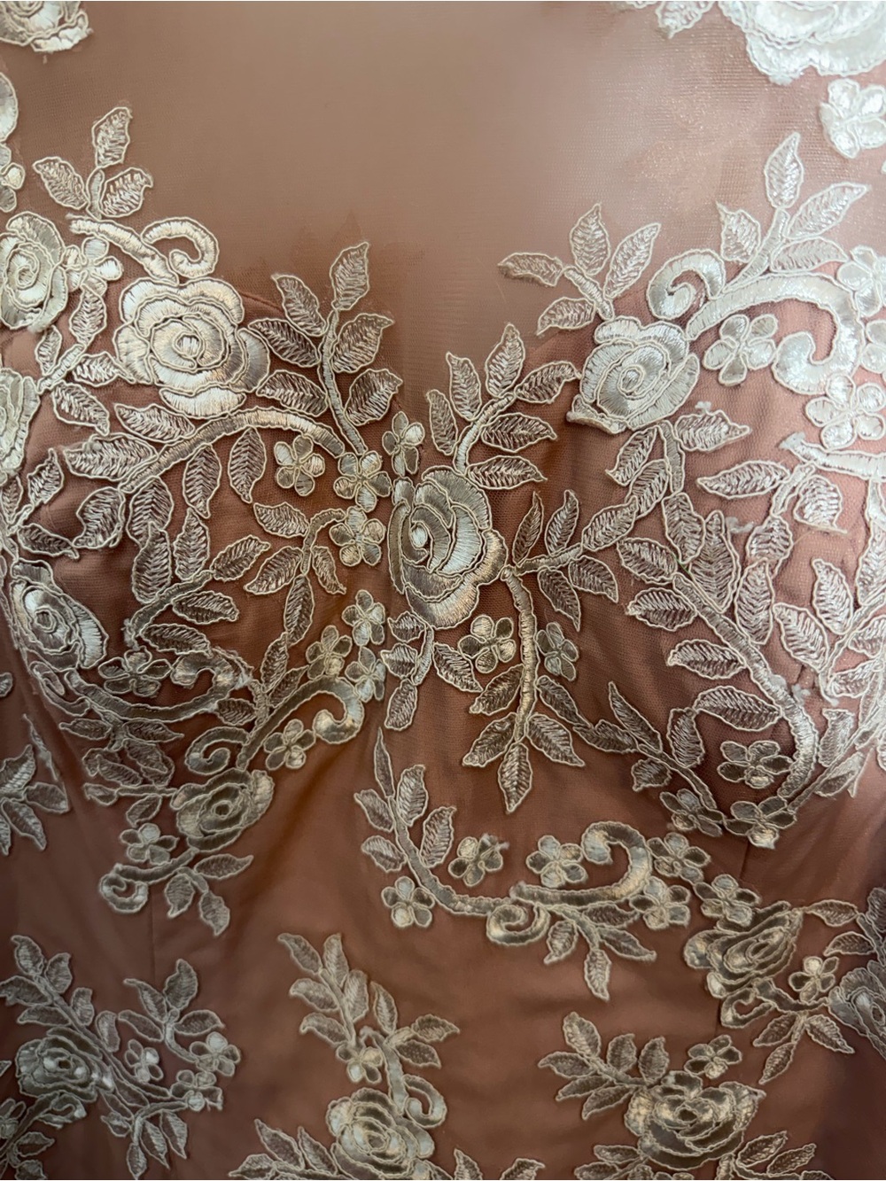 JJs House Blush Pink & White Floral Lace Embroidery Dress Gown With Tulle Skirt - Picture 8 of 12